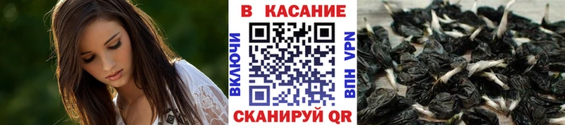 Все наркотики Дегтярск Кетамин ГАШИШ COCAIN