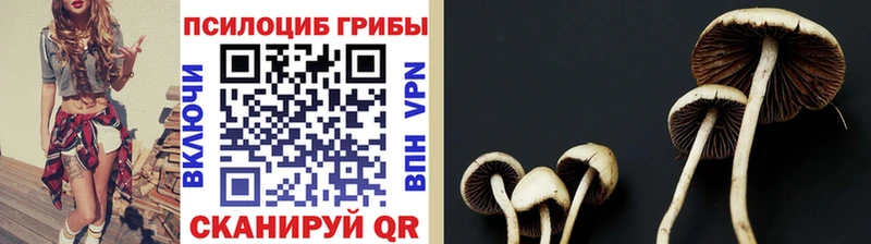 Псилоцибиновые грибы ЛСД  наркота  Дегтярск 